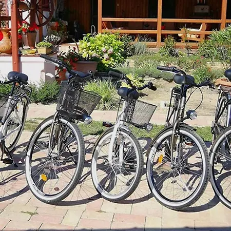 ゲストハウス Gemenc Vendeghaz 4*