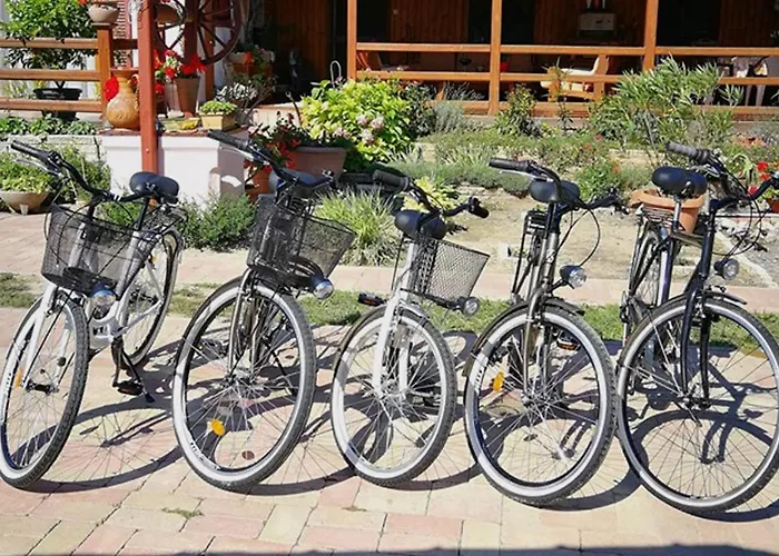 Gæstehus Gemenc Vendeghaz 4*